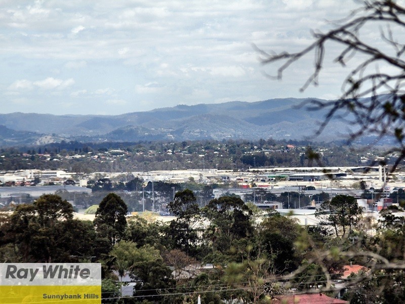 53 Newcombe Street, Sunnybank Hills QLD 4109