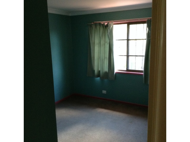 19 Booral Street, Sunnybank Hills QLD 4109