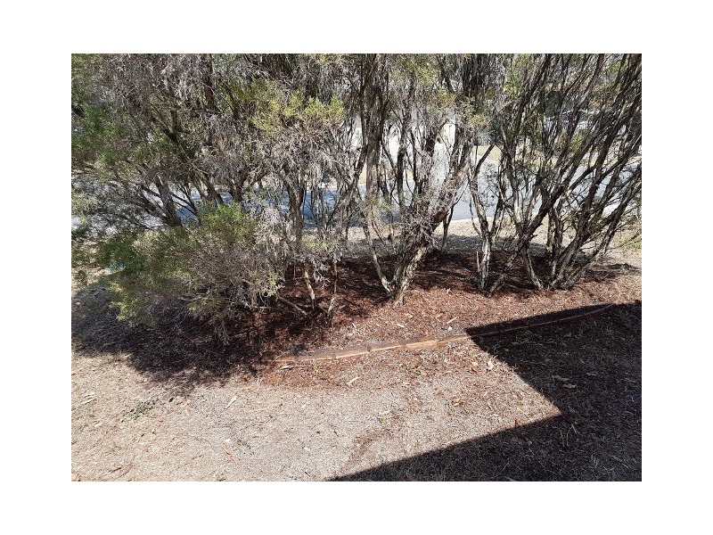 23 Brushbox Crescent, Sunnybank Hills QLD 4109