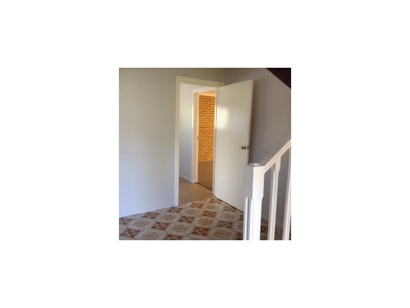 5 Cedrus Street, Sunnybank Hills QLD 4109