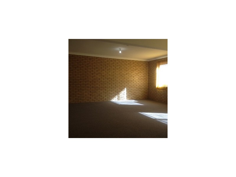 5 Cedrus Street, Sunnybank Hills QLD 4109