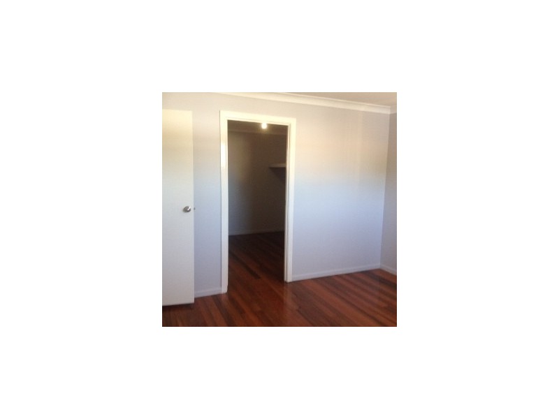 5 Cedrus Street, Sunnybank Hills QLD 4109