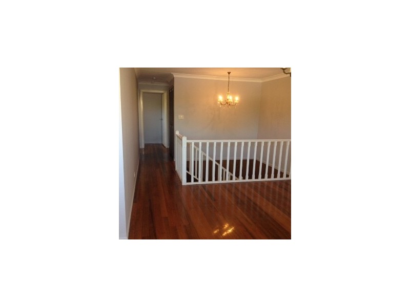 5 Cedrus Street, Sunnybank Hills QLD 4109