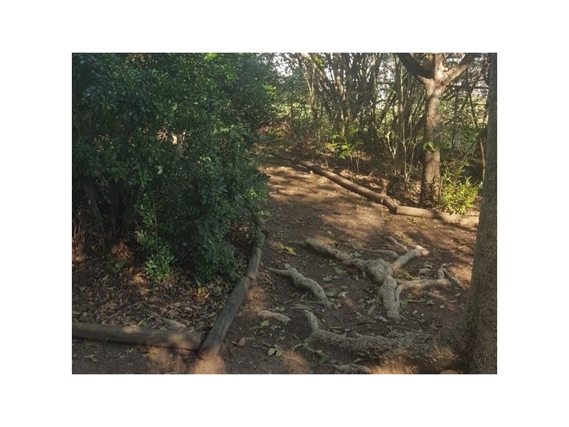 20 Cameo Street, Loganlea QLD 4131