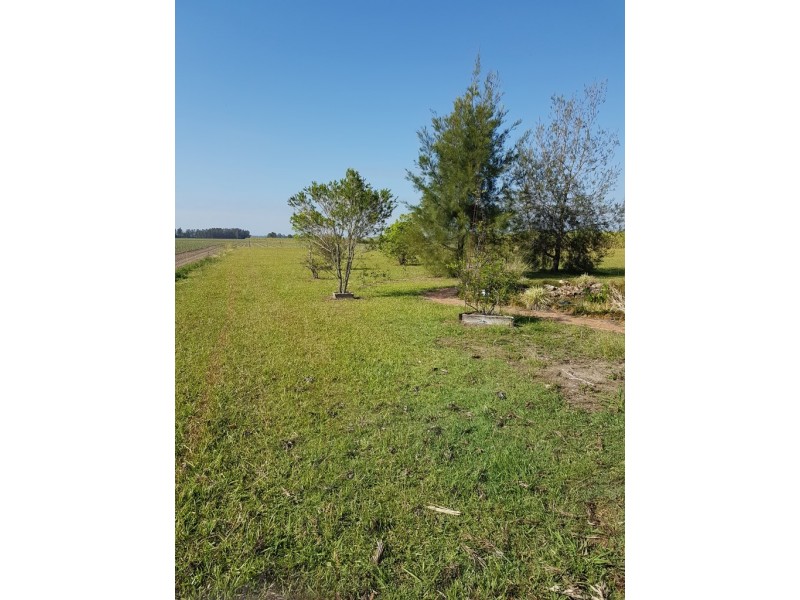 282 South Bank Road, Harwood NSW 2465