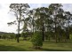 27 Sapote Street, James Creek NSW 2463