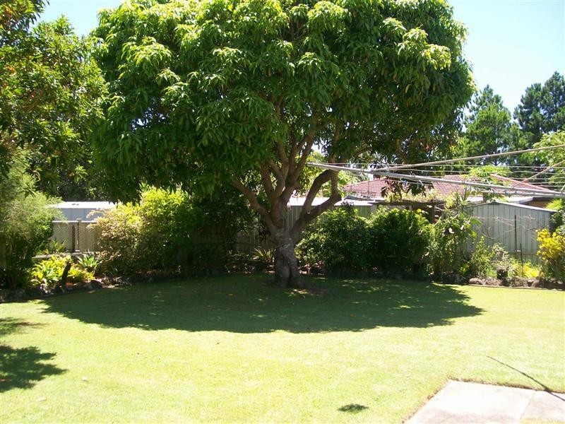 Yamba NSW 2464