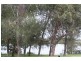 Yamba NSW 2464