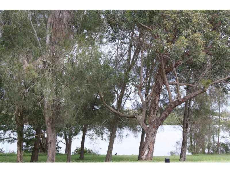 Yamba NSW 2464