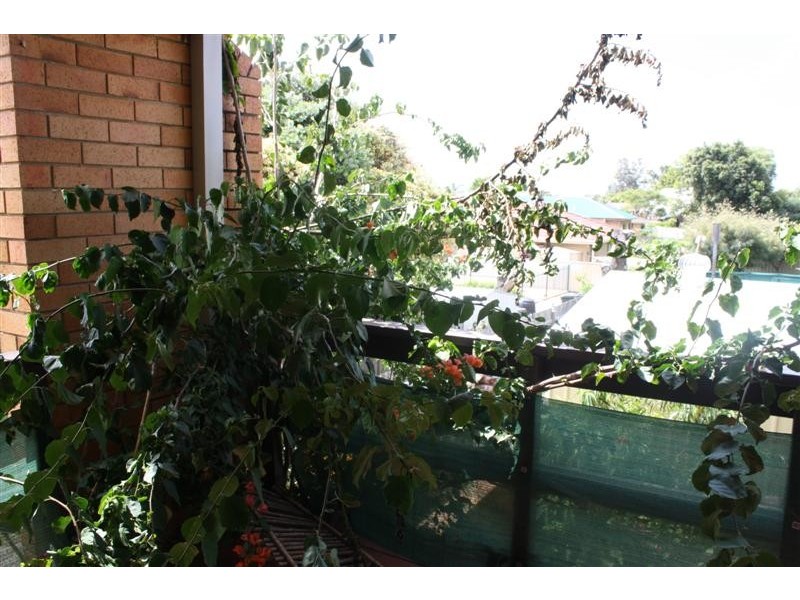 Yamba NSW 2464
