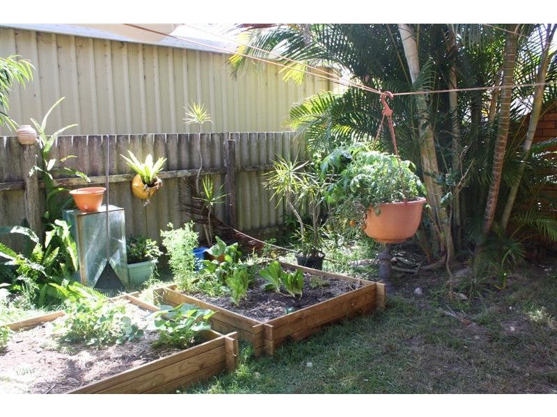 Yamba NSW 2464