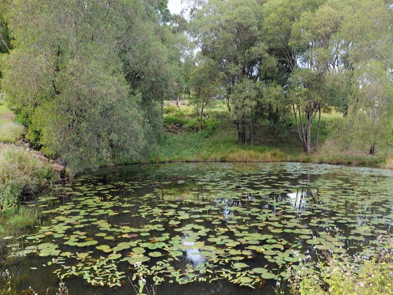 Lot 16 Old Ferry Road, Ashby NSW 2463