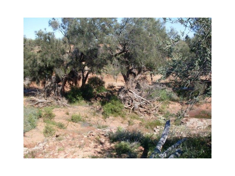 LOT 6375 Badgedong Road, Nunierra WA 6630