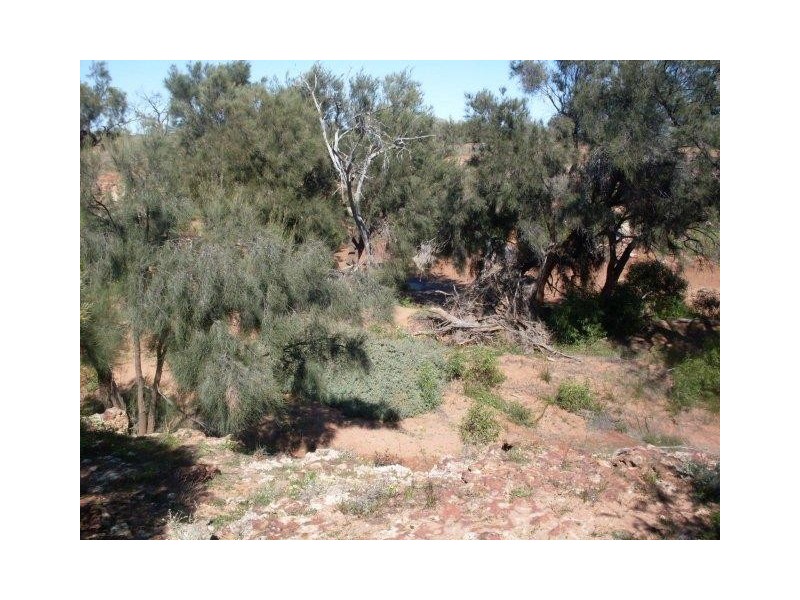 LOT 6375 Badgedong Road, Nunierra WA 6630