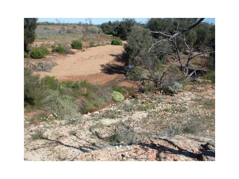 LOT 6375 Badgedong Road, Nunierra WA 6630