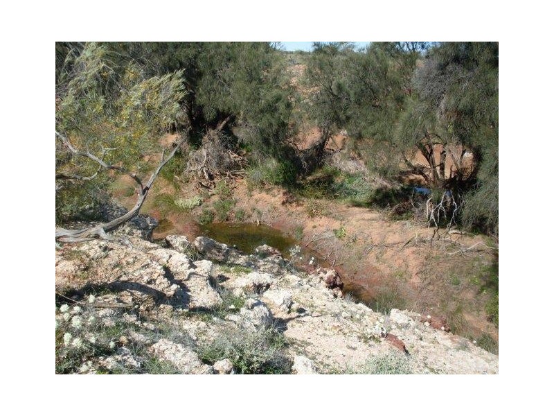 LOT 6375 Badgedong Road, Nunierra WA 6630