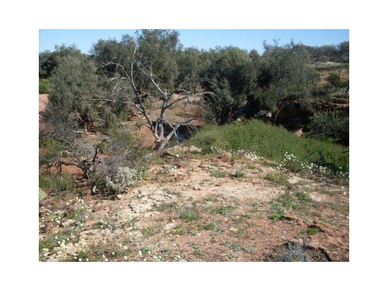 LOT 6375 Badgedong Road, Nunierra WA 6630