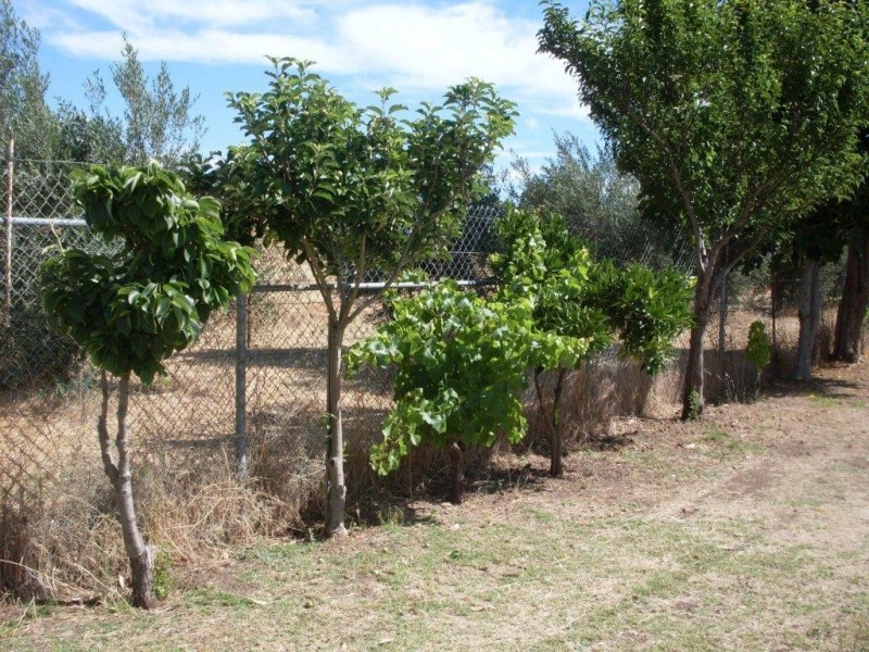 Henley Brook WA 6055