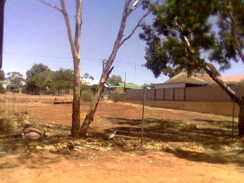 26 Mills Street, Mullewa WA 6630