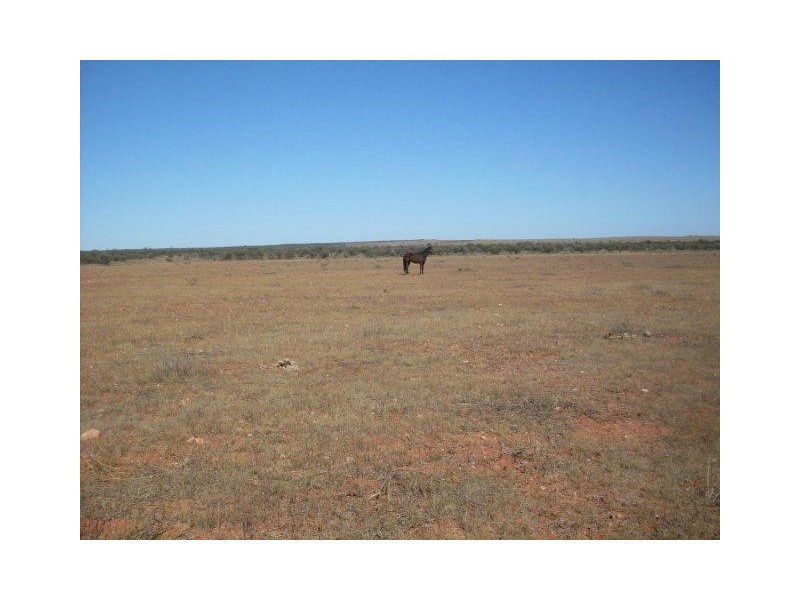 768 Nangerwalla Road, Nunierra WA 6630