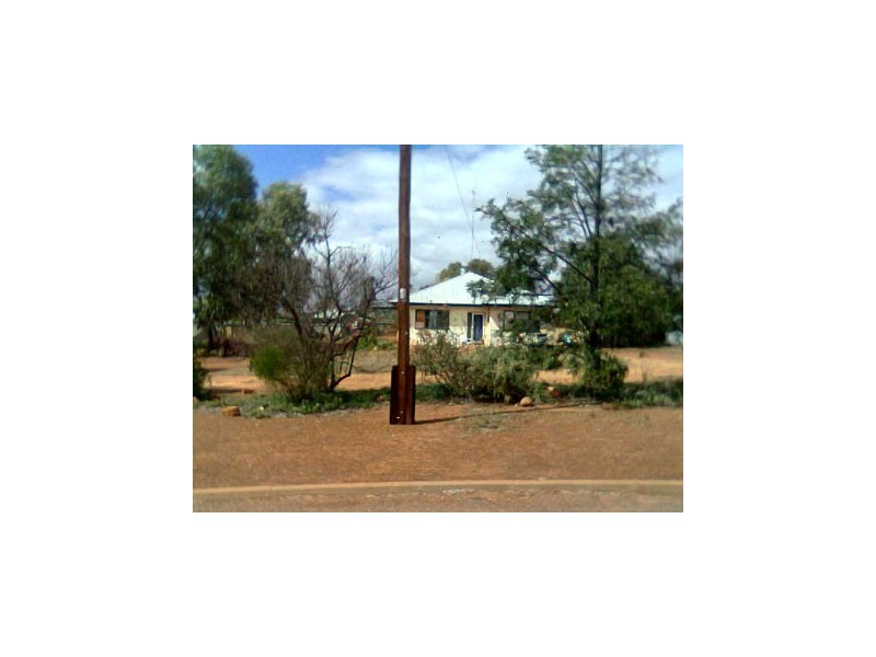 31 Mills Street, Mullewa WA 6630