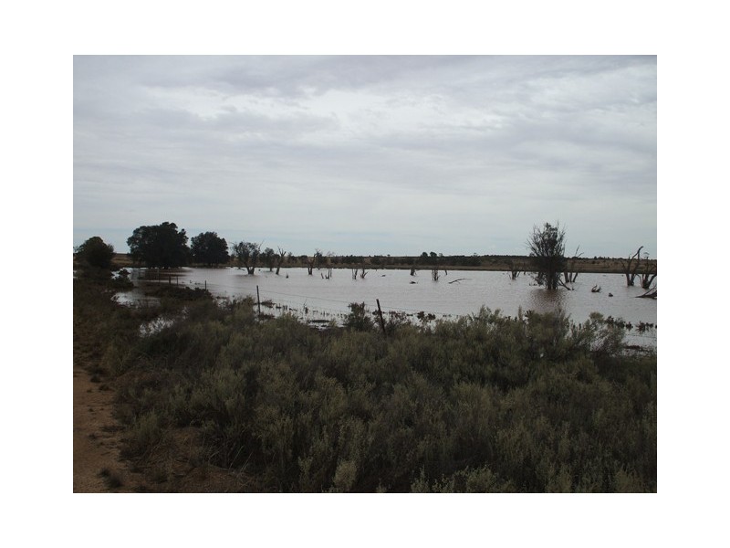 Lot 11380 Sachise Road, Kununoppin WA 6489