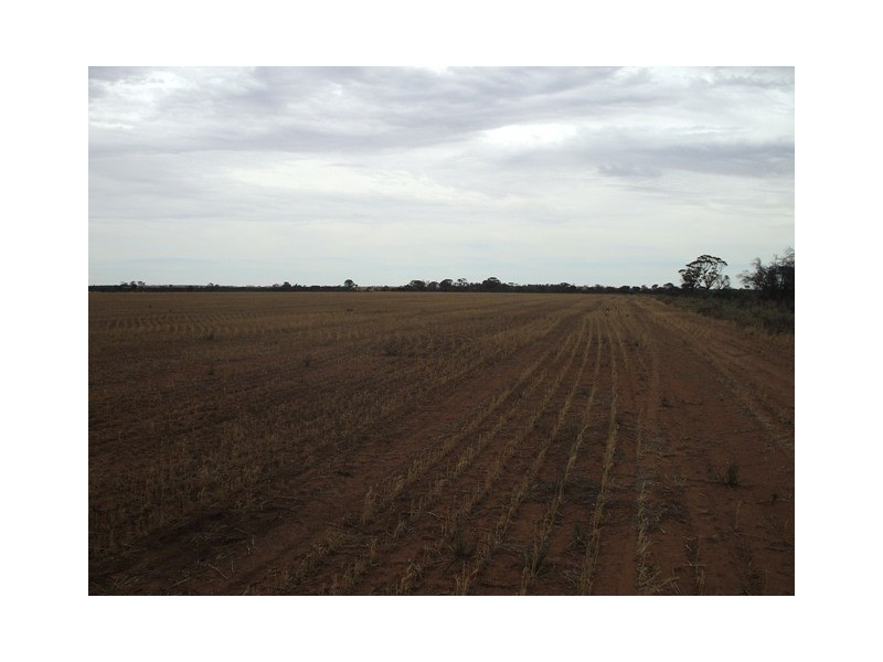 Lot 11380 Sachise Road, Kununoppin WA 6489