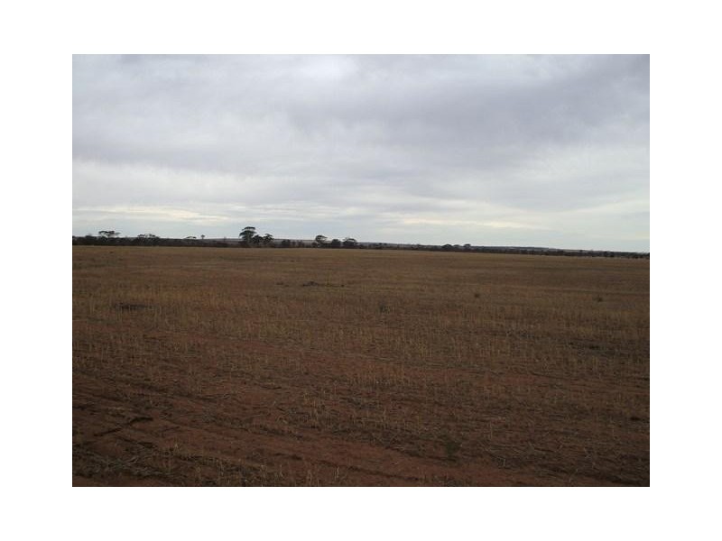Lot 11381 Sachise Road, Kununoppin WA 6489