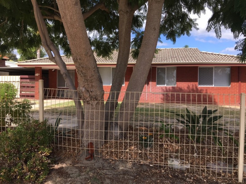 10 CROSSWAY, Swan View WA 6056