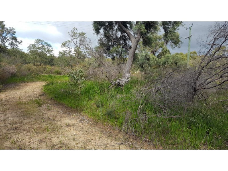 2 Verbena Avenue, Darlington WA 6070