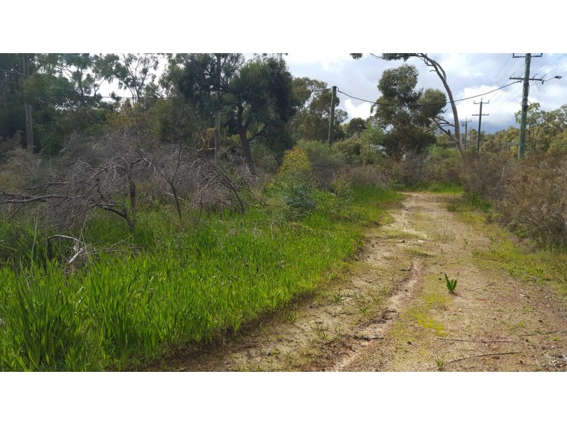 2 Verbena Avenue, Darlington WA 6070