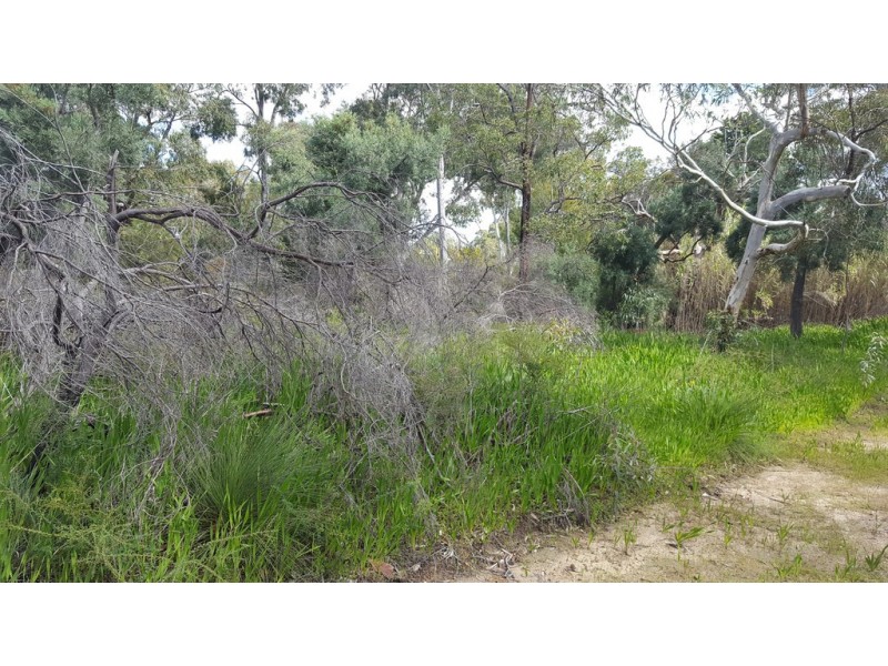 2 Verbena Avenue, Darlington WA 6070