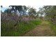 2 Verbena Avenue, Darlington WA 6070
