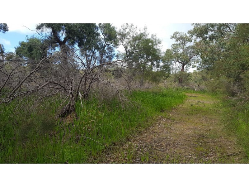 2 Verbena Avenue, Darlington WA 6070