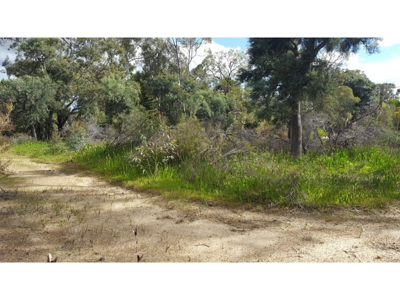 2 Verbena Avenue, Darlington WA 6070