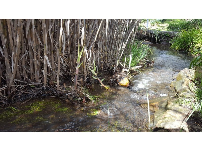 2 Verbena Avenue, Darlington WA 6070