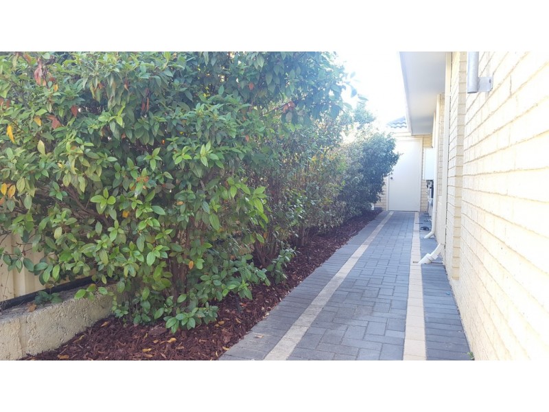 35 CALDWELL TURN, Clarkson WA 6030