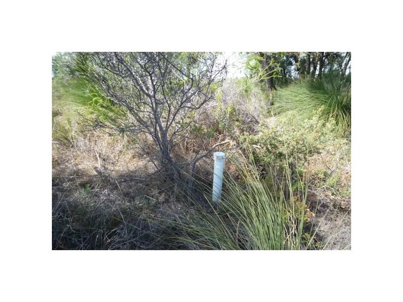 27 Wandoo Rise, Gabbadah WA 6041