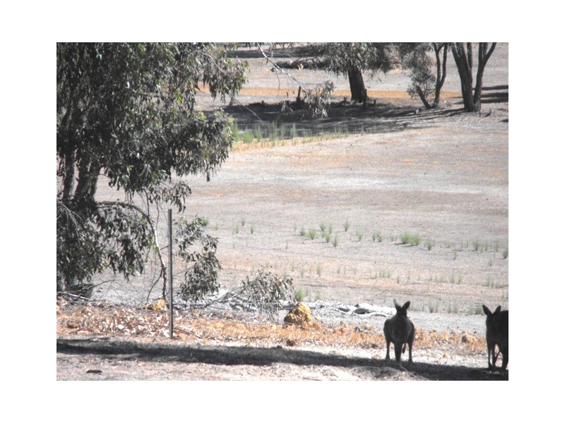 Lot 201 Leschenaultia Dr, Chittering WA 6084