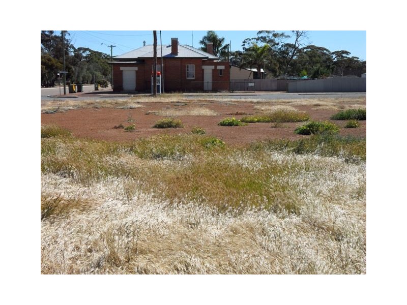 Lot 6 Wilson, Kununoppin WA 6489