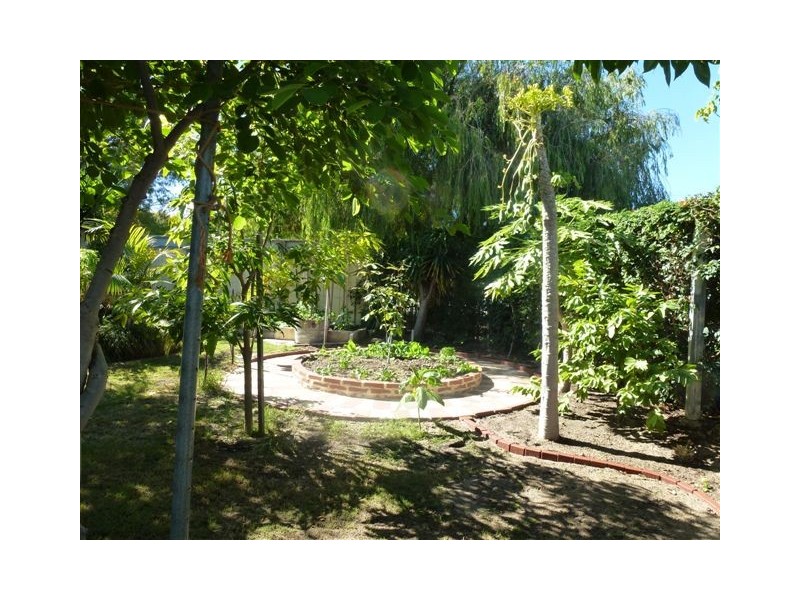 63 Renmark Street, Balcatta WA 6021