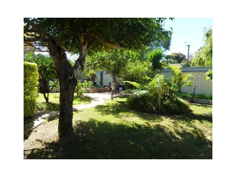 63 Renmark Street, Balcatta WA 6021