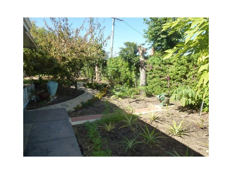 63 Renmark Street, Balcatta WA 6021