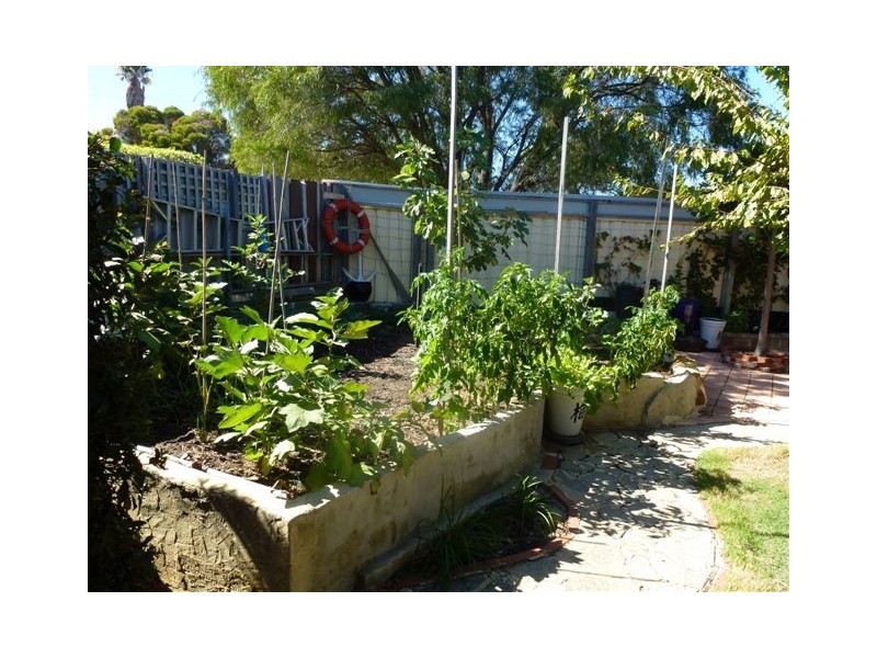 63 Renmark Street, Balcatta WA 6021