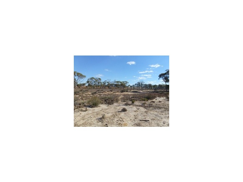 Lot 555 Quairading- York Road, York WA 6302