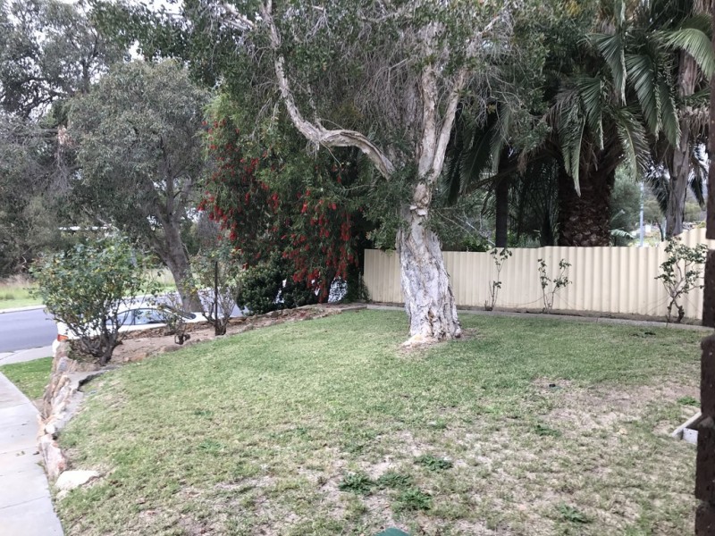 176 Clayton Street, Bellevue WA 6056