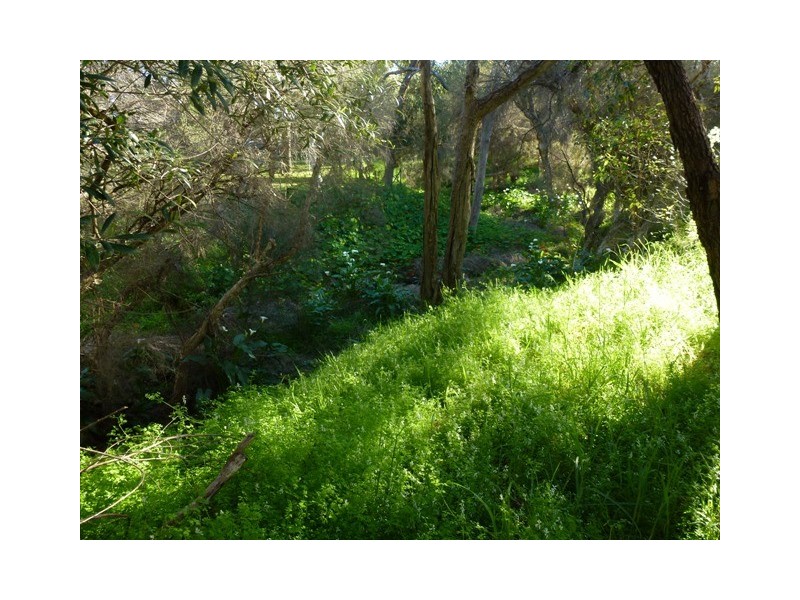 140 Horwood Road, Swan View WA 6056