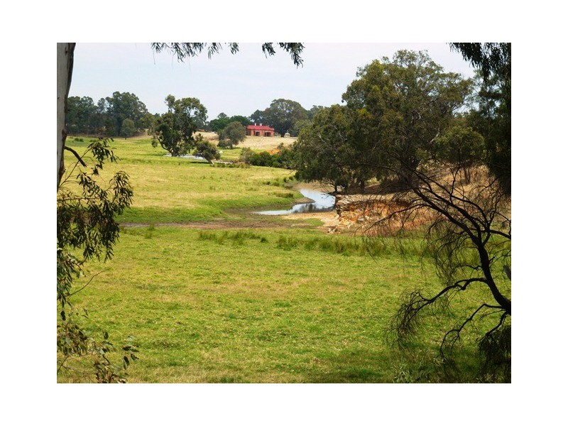 515 Katharine Street, Bellevue WA 6056