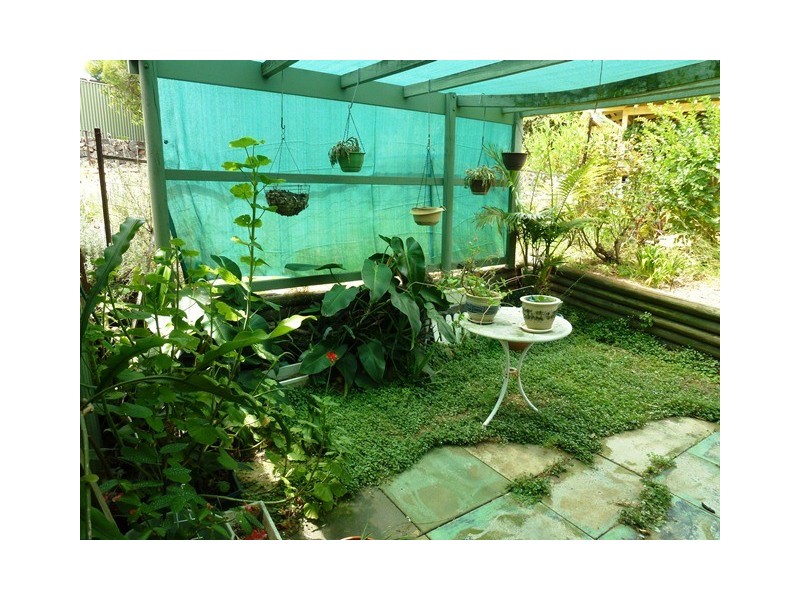 515 Katharine Street, Bellevue WA 6056