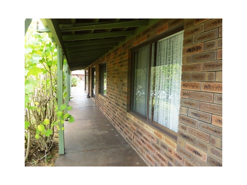 515 Katharine Street, Bellevue WA 6056